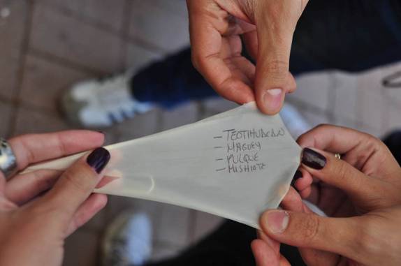 Maguey, o papiro dos antigos mexicas e teotihuacanos, próximo às ruínas de Teotihuacán, ao norte da Cidade do México